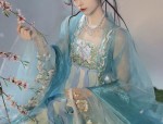 Traditional Chinese Womens Fashion:The Charm of Tang-Style Horseface Skirt with Chinese Elements