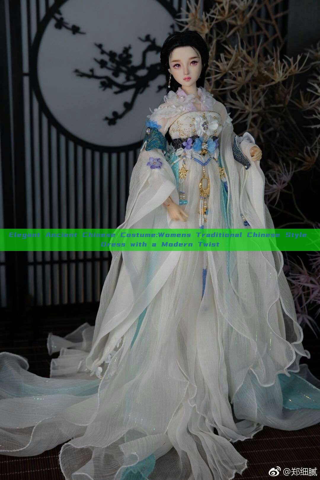 Elegant Ancient Chinese Costume:Womens Traditional Chinese Style Dress with a Modern Twist Elegant Ancient Chinese Costume:Womens Traditional Chinese Style Dress with a Modern Twist