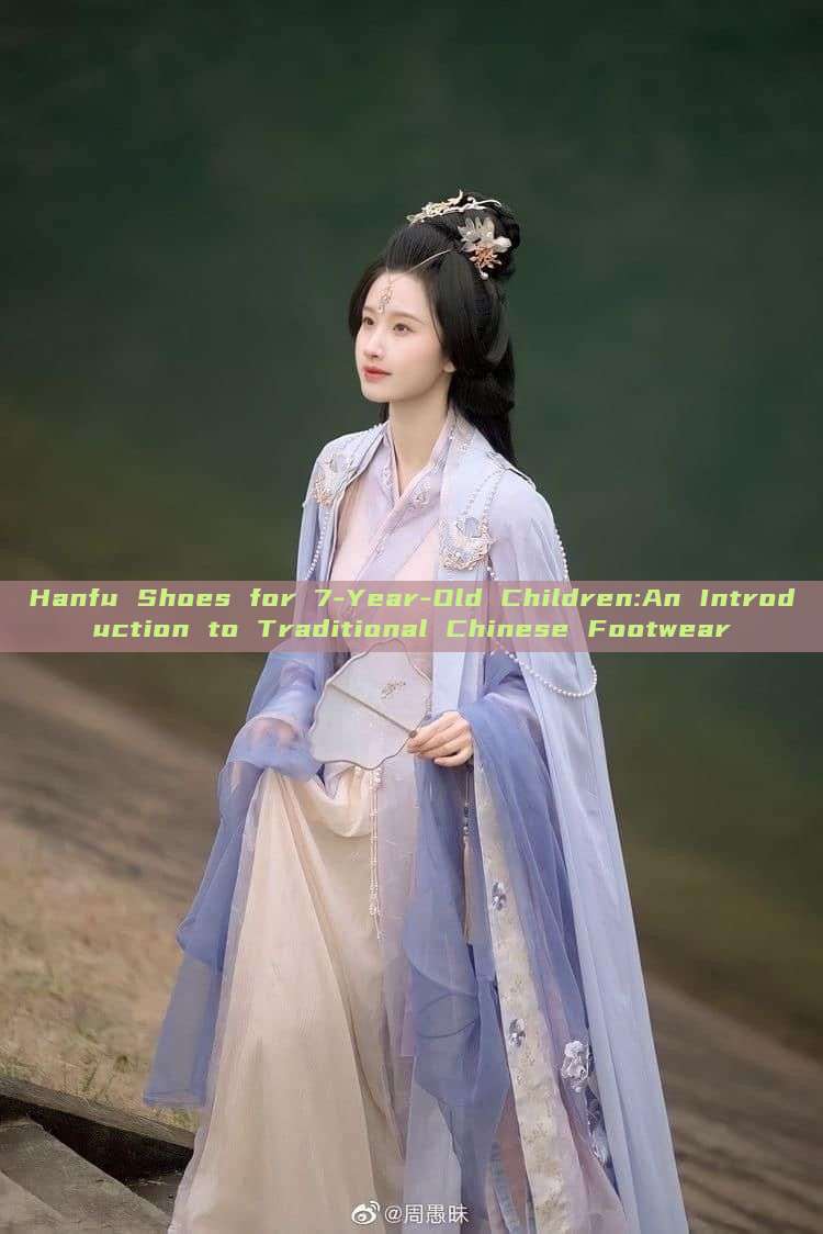 Hanfu Shoes for 7-Year-Old Children:An Introduction to Traditional Chinese Footwear Hanfu Shoes for 7-Year-Old Children:An Introduction to Traditional Chinese Footwear