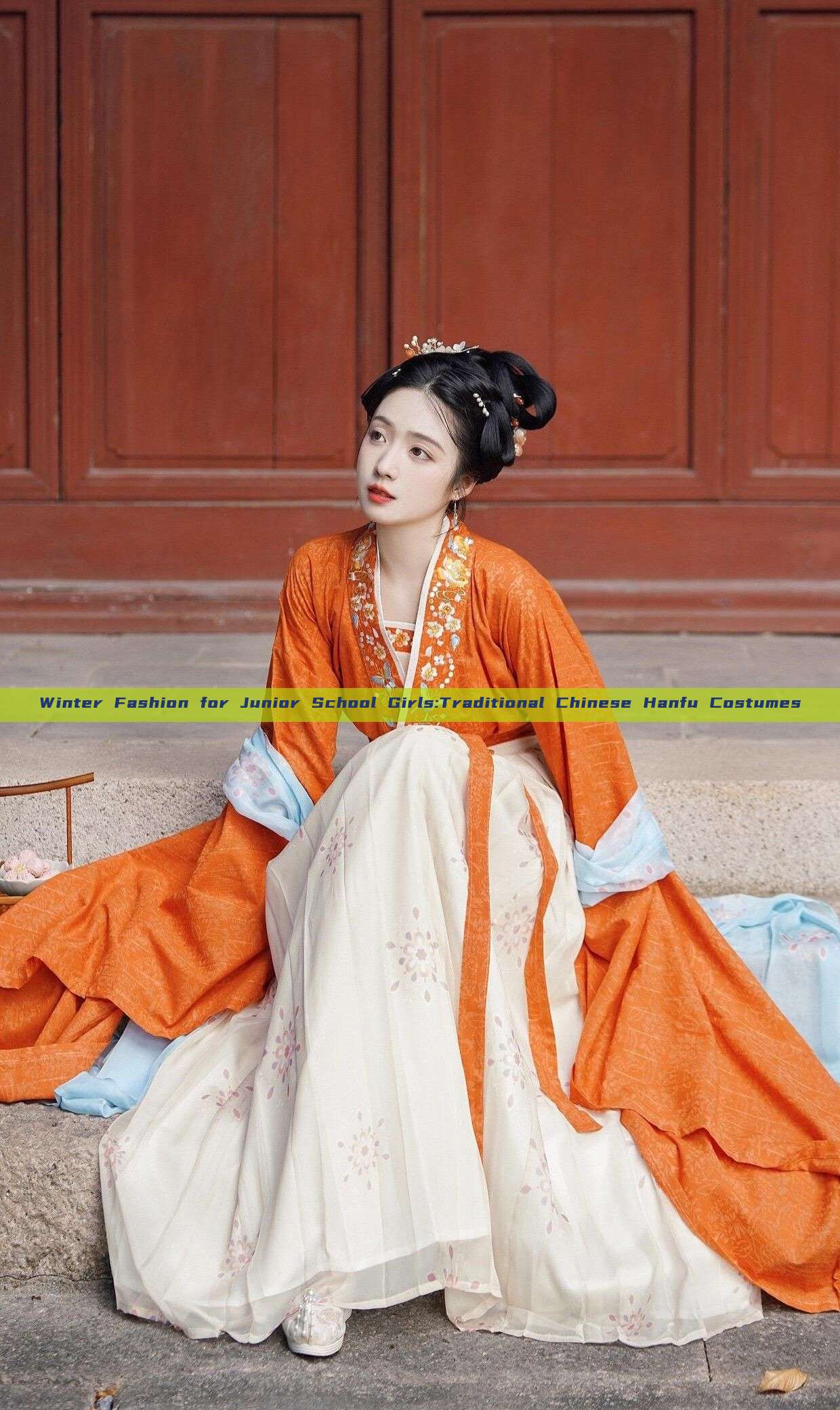 Winter Fashion for Junior School Girls:Traditional Chinese Hanfu Costumes Winter Fashion for Junior School Girls:Traditional Chinese Hanfu Costumes
