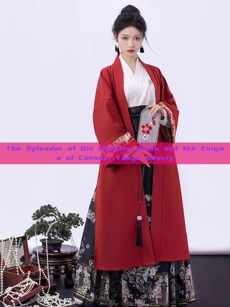 The Splendor of Qin Dynasty Hanfu and the Enigma of Consort Yangs Beauty The Splendor of Qin Dynasty Hanfu and the Enigma of Consort Yangs Beauty