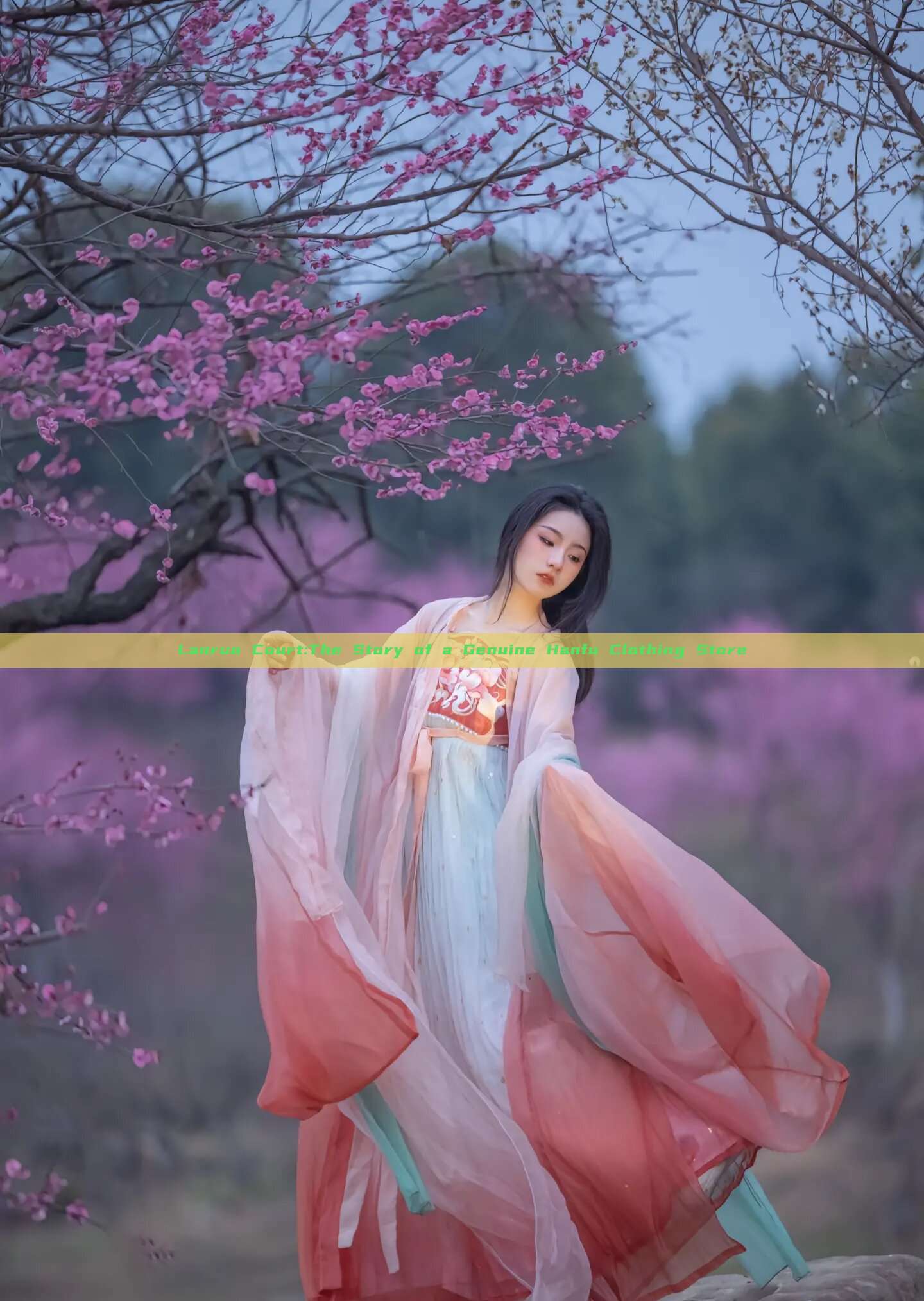 Lanruo Court:The Story of a Genuine Hanfu Clothing Store