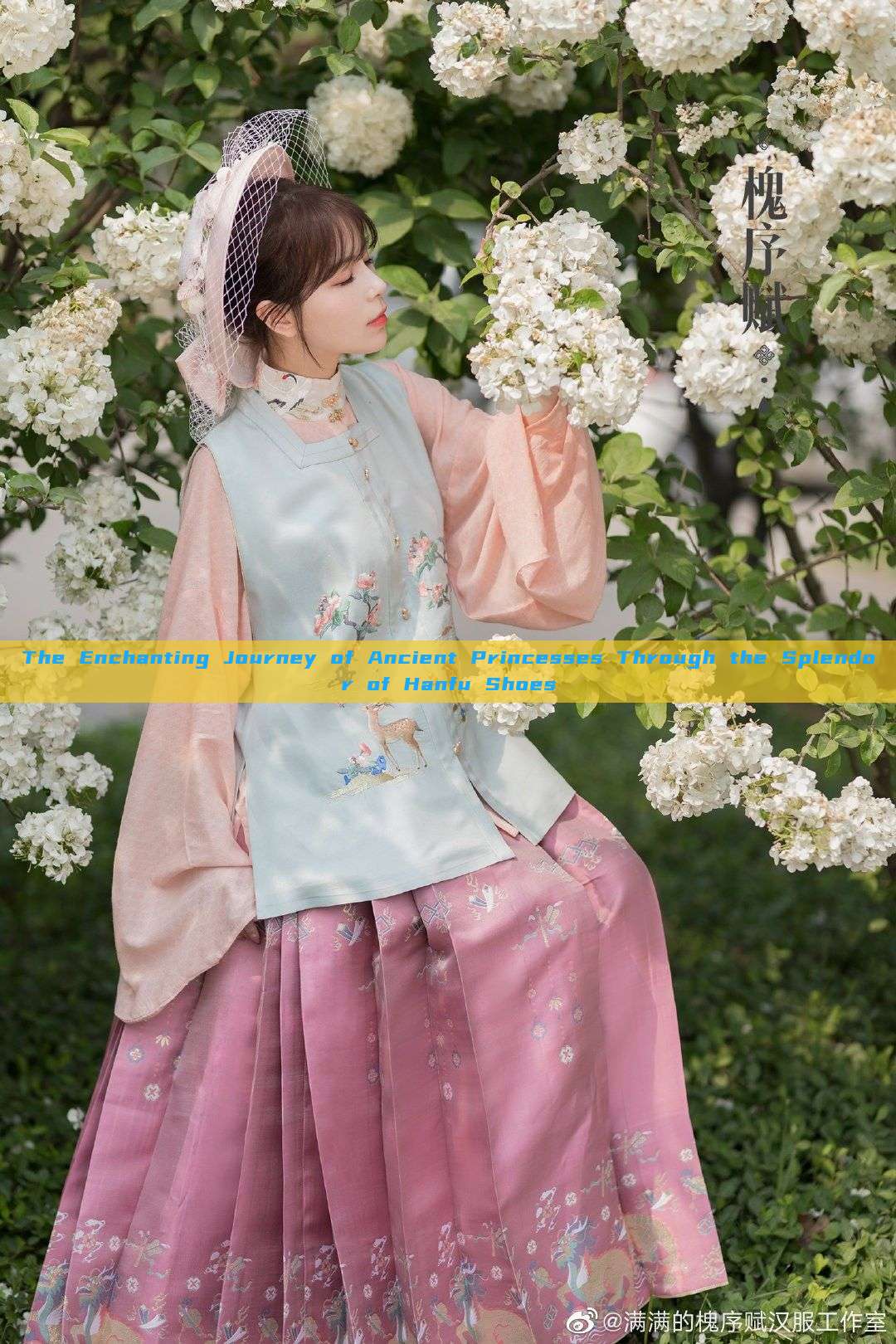 The Enchanting Journey of Ancient Princesses Through the Splendor of Hanfu Shoes The Enchanting Journey of Ancient Princesses Through the Splendor of Hanfu Shoes