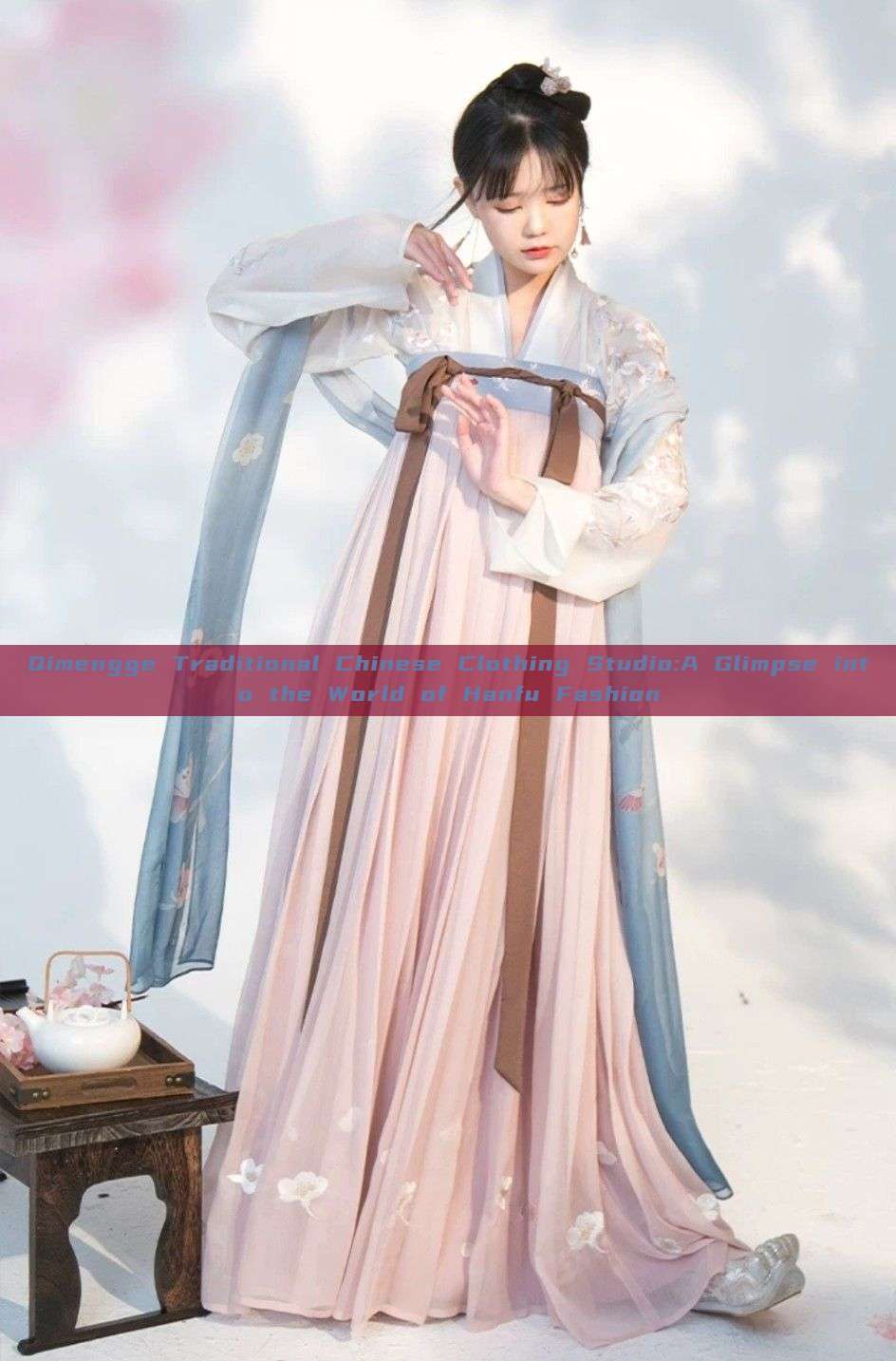 Qimengge Traditional Chinese Clothing Studio:A Glimpse into the World of Hanfu Fashion Qimengge Traditional Chinese Clothing Studio:A Glimpse into the World of Hanfu Fashion