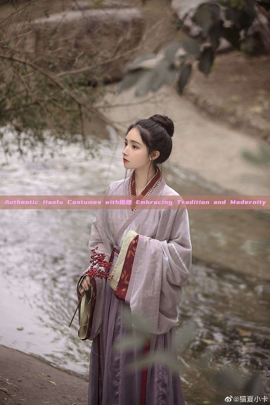 Authentic Hanfu Costumes with锦鲤 Embracing Tradition and Modernity Authentic Hanfu Costumes with锦鲤 Embracing Tradition and Modernity
