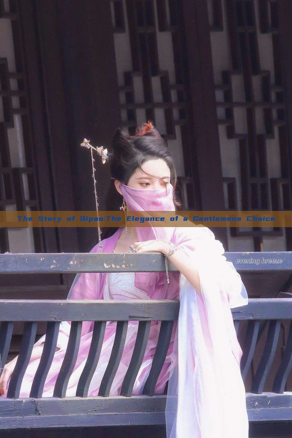 The Story of Qipao:The Elegance of a Gentlemens Choice The Story of Qipao:The Elegance of a Gentlemens Choice