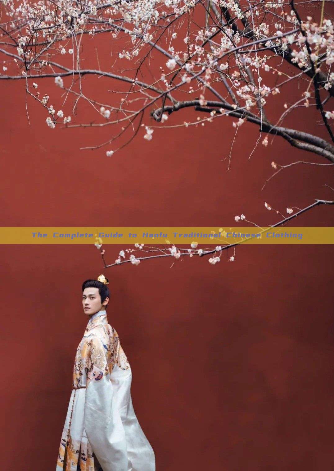 The Complete Guide to Hanfu Traditional Chinese Clothing The Complete Guide to Hanfu Traditional Chinese Clothing