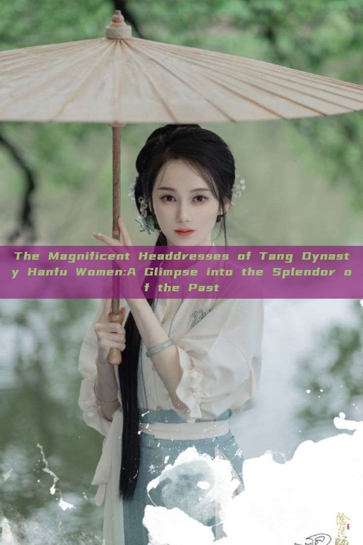 The Magnificent Headdresses of Tang Dynasty Hanfu Women:A Glimpse into the Splendor of the Past The Magnificent Headdresses of Tang Dynasty Hanfu Women:A Glimpse into the Splendor of the Past