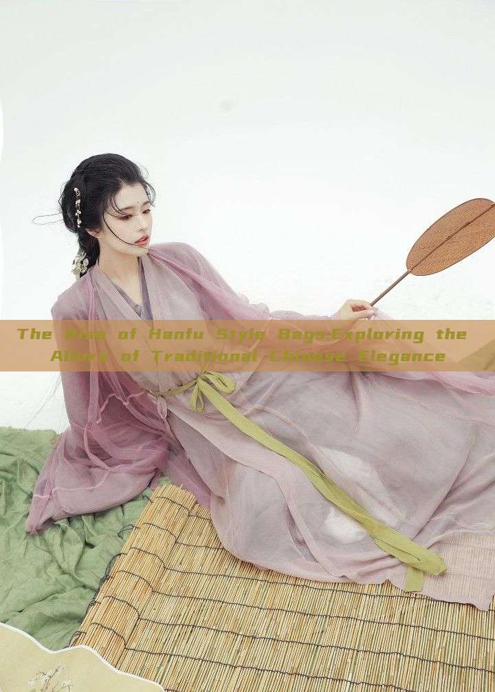The Rise of Hanfu Style Bags:Exploring the Allure of Traditional Chinese Elegance The Rise of Hanfu Style Bags:Exploring the Allure of Traditional Chinese Elegance