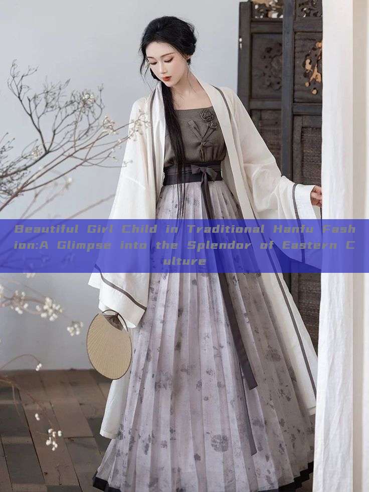 Beautiful Girl Child in Traditional Hanfu Fashion:A Glimpse into the Splendor of Eastern Culture Beautiful Girl Child in Traditional Hanfu Fashion:A Glimpse into the Splendor of Eastern Culture