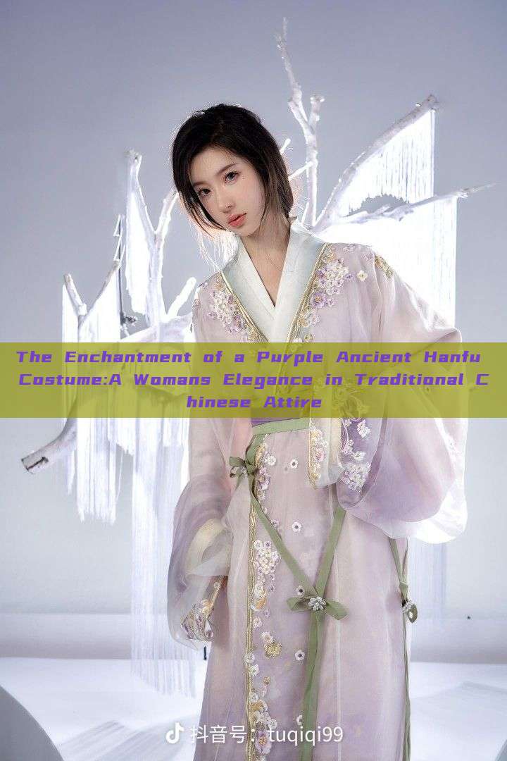 The Enchantment of a Purple Ancient Hanfu Costume:A Womans Elegance in Traditional Chinese Attire The Enchantment of a Purple Ancient Hanfu Costume:A Womans Elegance in Traditional Chinese Attire