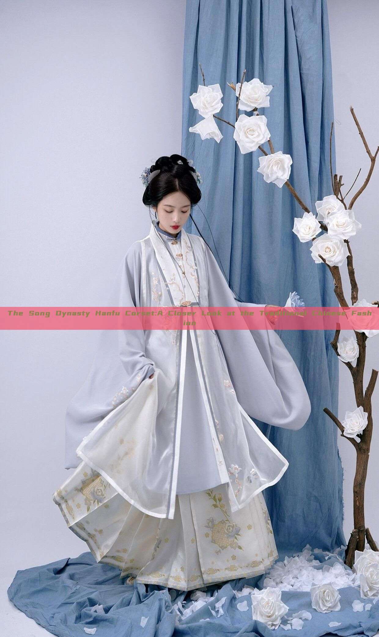 The Song Dynasty Hanfu Corset:A Closer Look at the Traditional Chinese Fashion The Song Dynasty Hanfu Corset:A Closer Look at the Traditional Chinese Fashion
