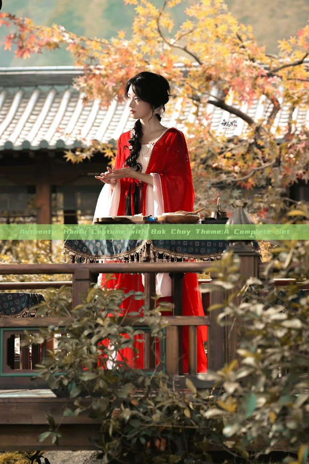 Authentic Hanfu Costume with Bok Choy Theme:A Complete Set Authentic Hanfu Costume with Bok Choy Theme:A Complete Set