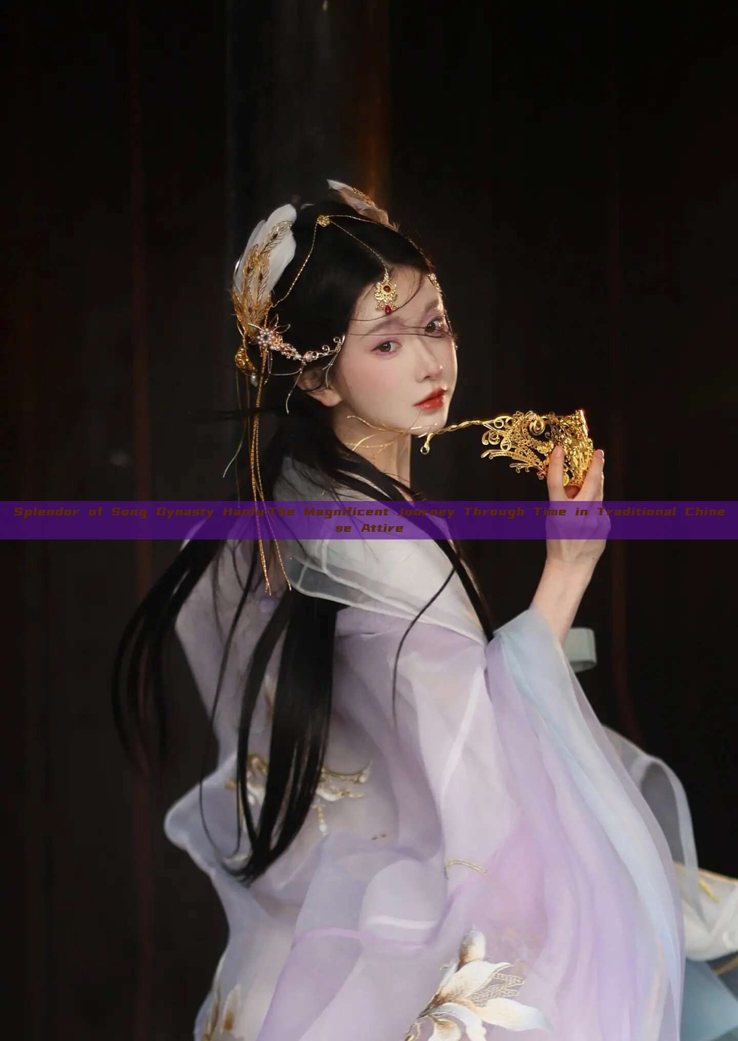 Splendor of Song Dynasty Hanfu:The Magnificent Journey Through Time in Traditional Chinese Attire Splendor of Song Dynasty Hanfu:The Magnificent Journey Through Time in Traditional Chinese Attire