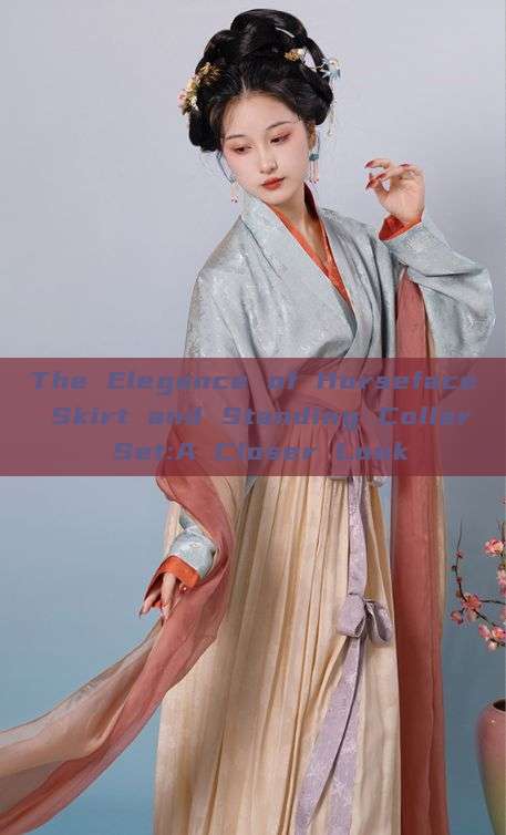 The Elegance of Horseface Skirt and Standing Collar Set:A Closer Look The Elegance of Horseface Skirt and Standing Collar Set:A Closer Look