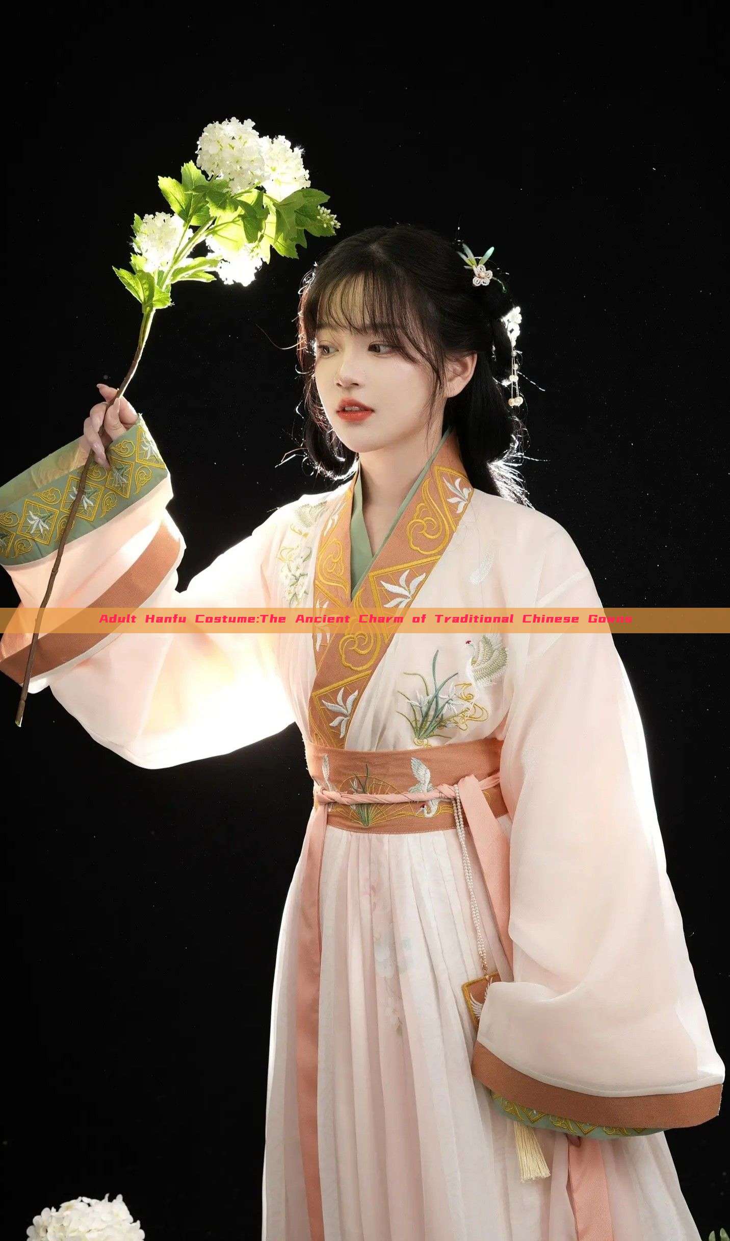 Adult Hanfu Costume:The Ancient Charm of Traditional Chinese Gowns Adult Hanfu Costume:The Ancient Charm of Traditional Chinese Gowns