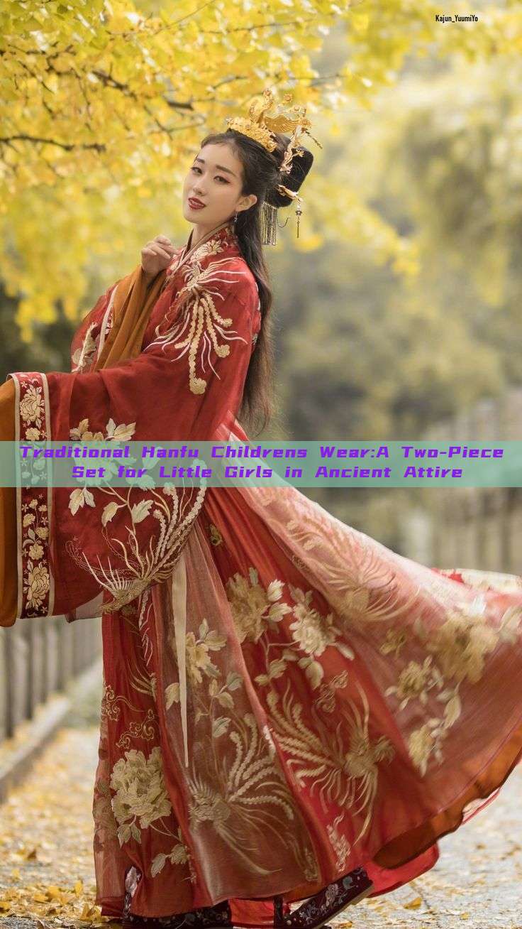 Traditional Hanfu Childrens Wear:A Two-Piece Set for Little Girls in Ancient Attire Traditional Hanfu Childrens Wear:A Two-Piece Set for Little Girls in Ancient Attire