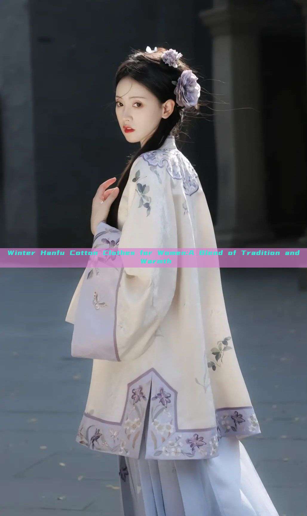 Winter Hanfu Cotton Clothes for Women:A Blend of Tradition and Warmth Winter Hanfu Cotton Clothes for Women:A Blend of Tradition and Warmth