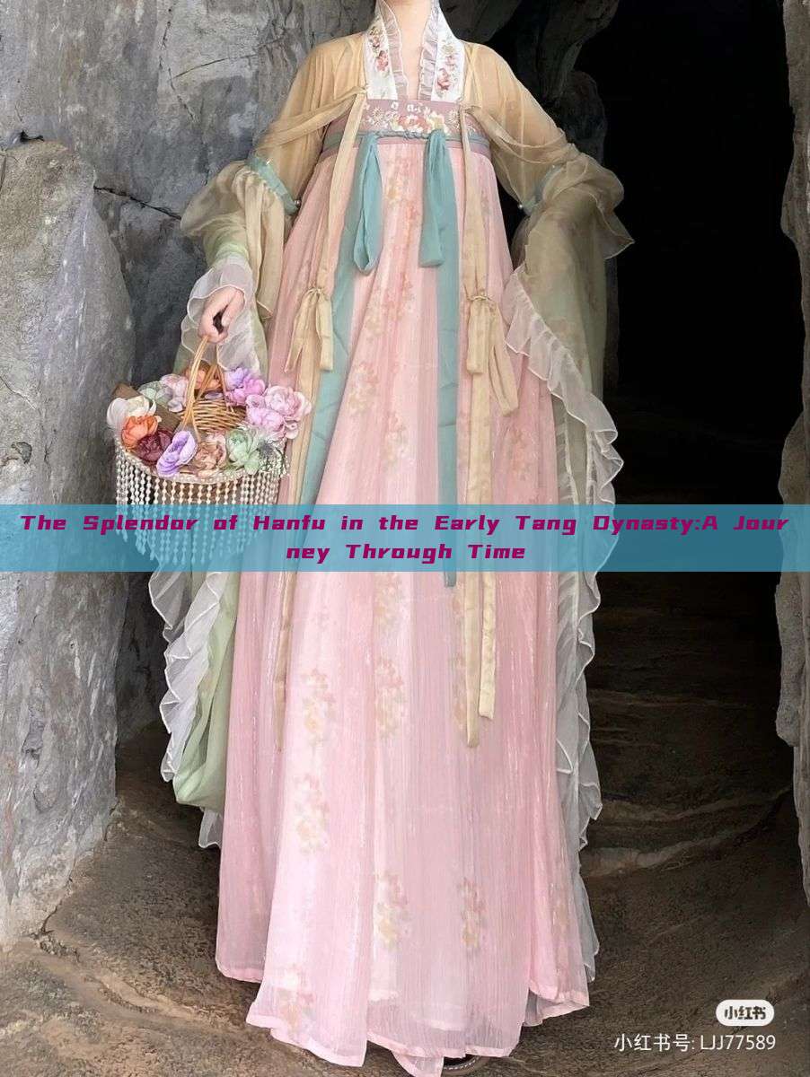 The Splendor of Hanfu in the Early Tang Dynasty:A Journey Through Time The Splendor of Hanfu in the Early Tang Dynasty:A Journey Through Time