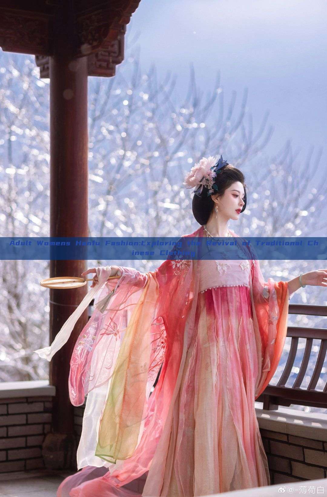 Adult Womens Hanfu Fashion:Exploring the Revival of Traditional Chinese Clothing Adult Womens Hanfu Fashion:Exploring the Revival of Traditional Chinese Clothing