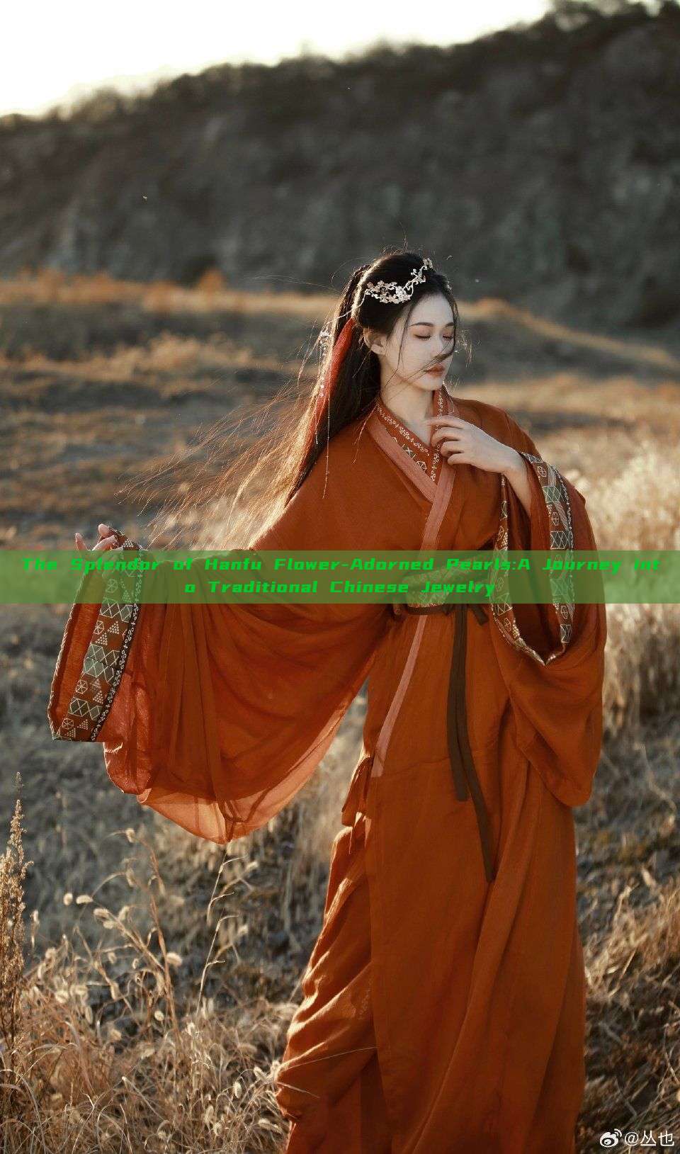 The Splendor of Hanfu Flower-Adorned Pearls:A Journey into Traditional Chinese Jewelry The Splendor of Hanfu Flower-Adorned Pearls:A Journey into Traditional Chinese Jewelry