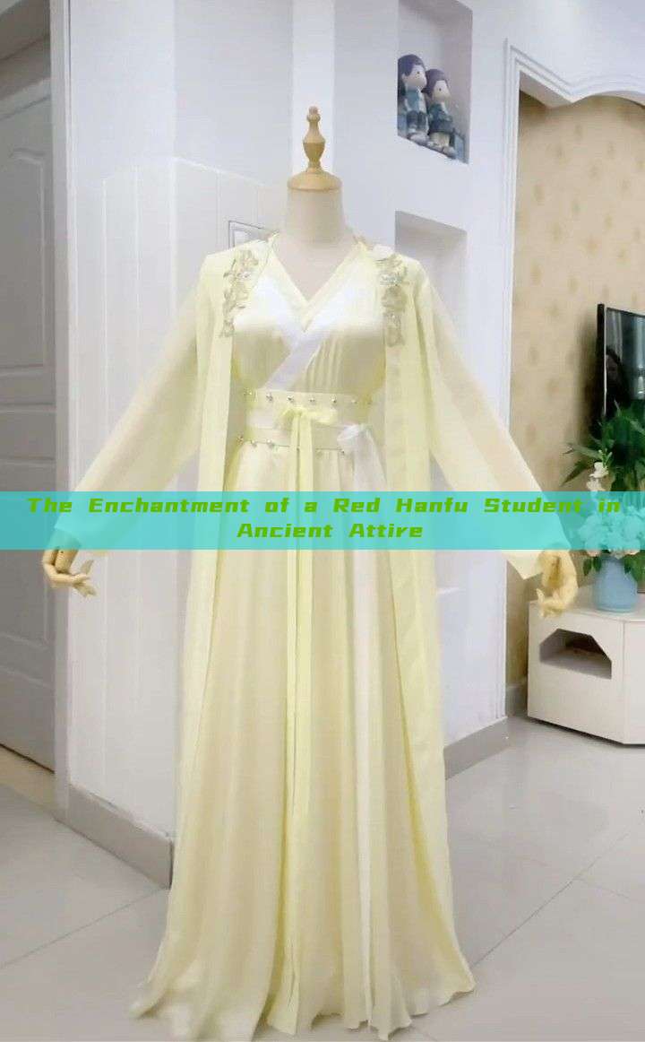 The Enchantment of a Red Hanfu Student in Ancient Attire The Enchantment of a Red Hanfu Student in Ancient Attire