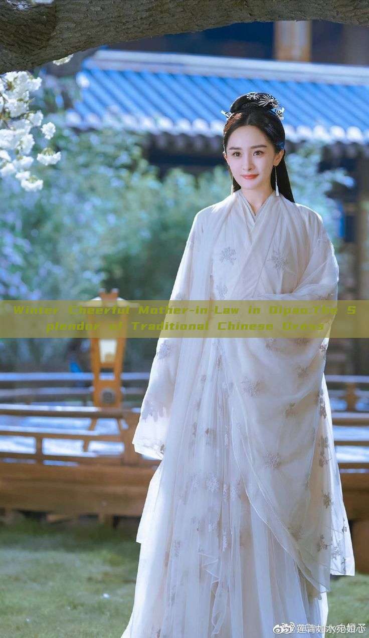 Winter Cheerful Mother-in-Law in Qipao:The Splendor of Traditional Chinese Dress Winter Cheerful Mother-in-Law in Qipao:The Splendor of Traditional Chinese Dress