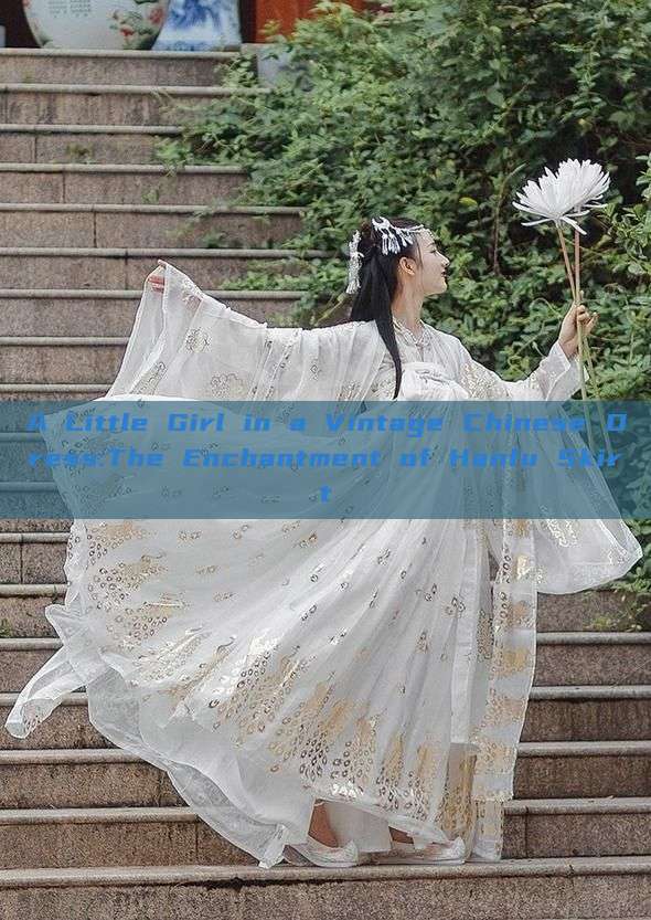 A Little Girl in a Vintage Chinese Dress:The Enchantment of Hanfu Skirt A Little Girl in a Vintage Chinese Dress:The Enchantment of Hanfu Skirt