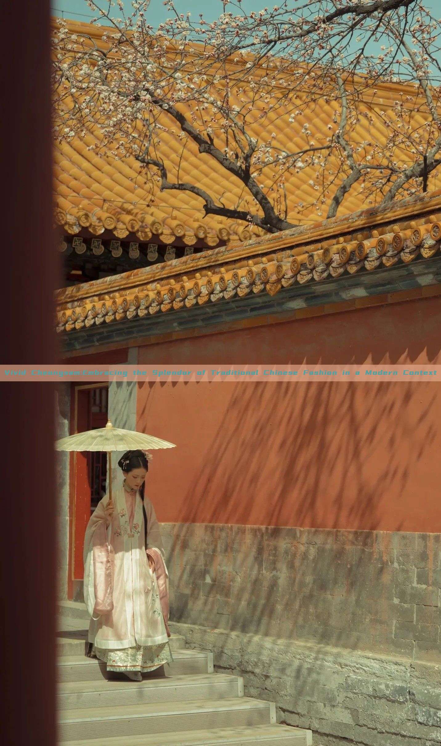 Vivid Cheongsam:Embracing the Splendor of Traditional Chinese Fashion in a Modern Context Vivid Cheongsam:Embracing the Splendor of Traditional Chinese Fashion in a Modern Context