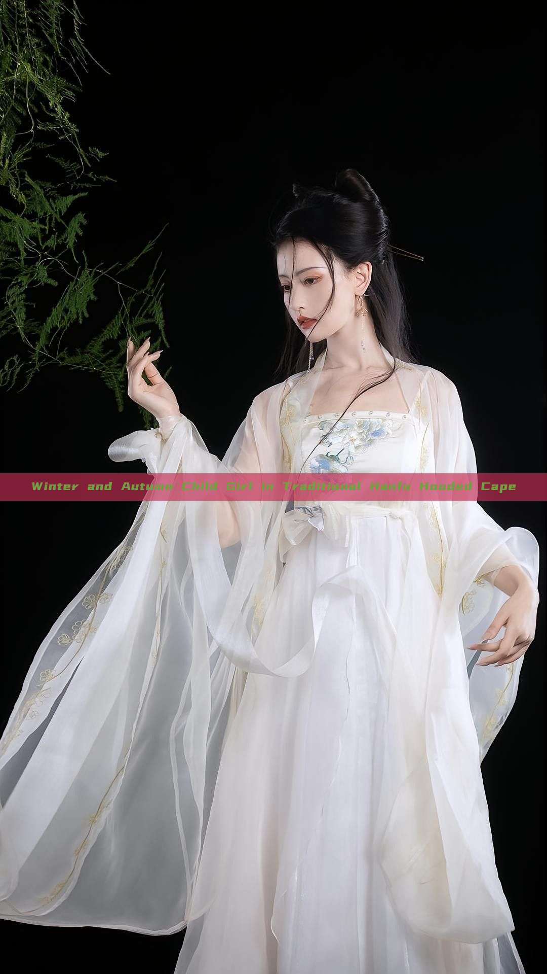 Winter and Autumn Child Girl in Traditional Hanfu Hooded Cape Winter and Autumn Child Girl in Traditional Hanfu Hooded Cape