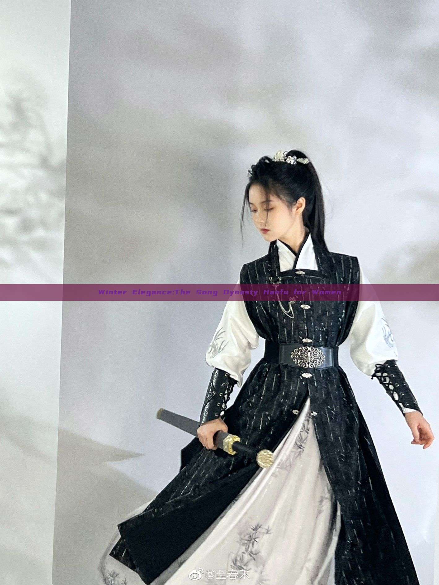Winter Elegance:The Song Dynasty Hanfu for Women Winter Elegance:The Song Dynasty Hanfu for Women