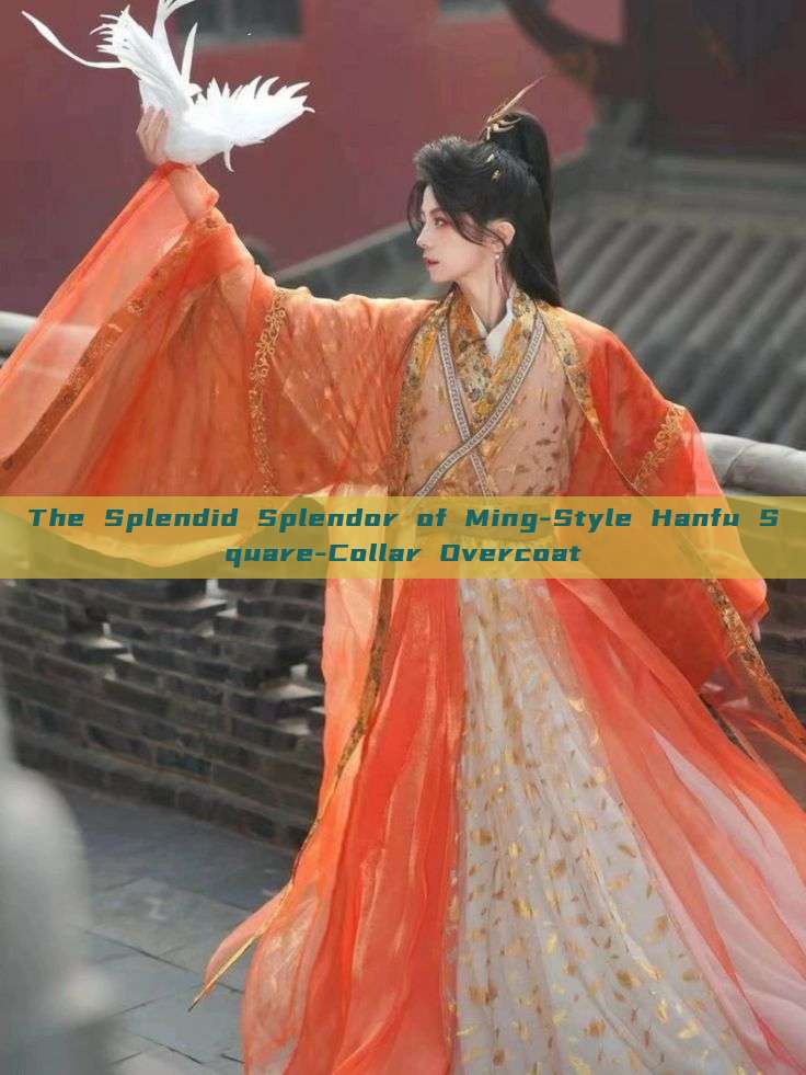 The Splendid Splendor of Ming-Style Hanfu Square-Collar Overcoat The Splendid Splendor of Ming-Style Hanfu Square-Collar Overcoat