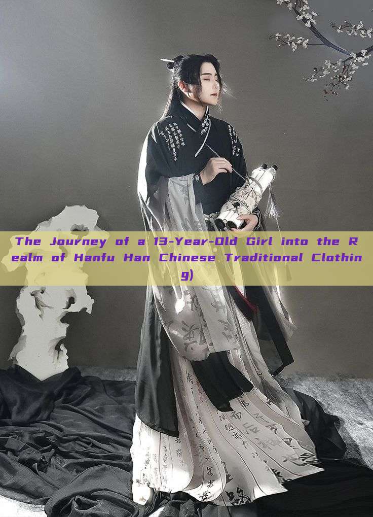 The Journey of a 13-Year-Old Girl into the Realm of Hanfu Han Chinese Traditional Clothing) The Journey of a 13-Year-Old Girl into the Realm of Hanfu Han Chinese Traditional Clothing)