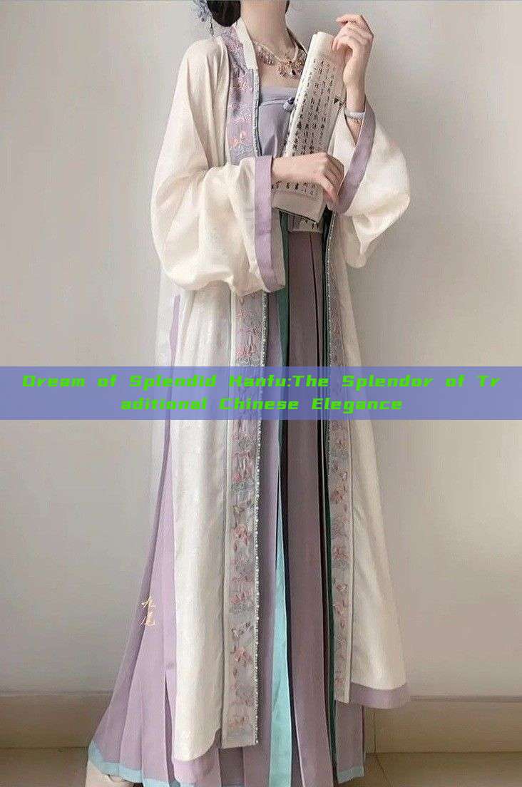 Dream of Splendid Hanfu:The Splendor of Traditional Chinese Elegance Dream of Splendid Hanfu:The Splendor of Traditional Chinese Elegance