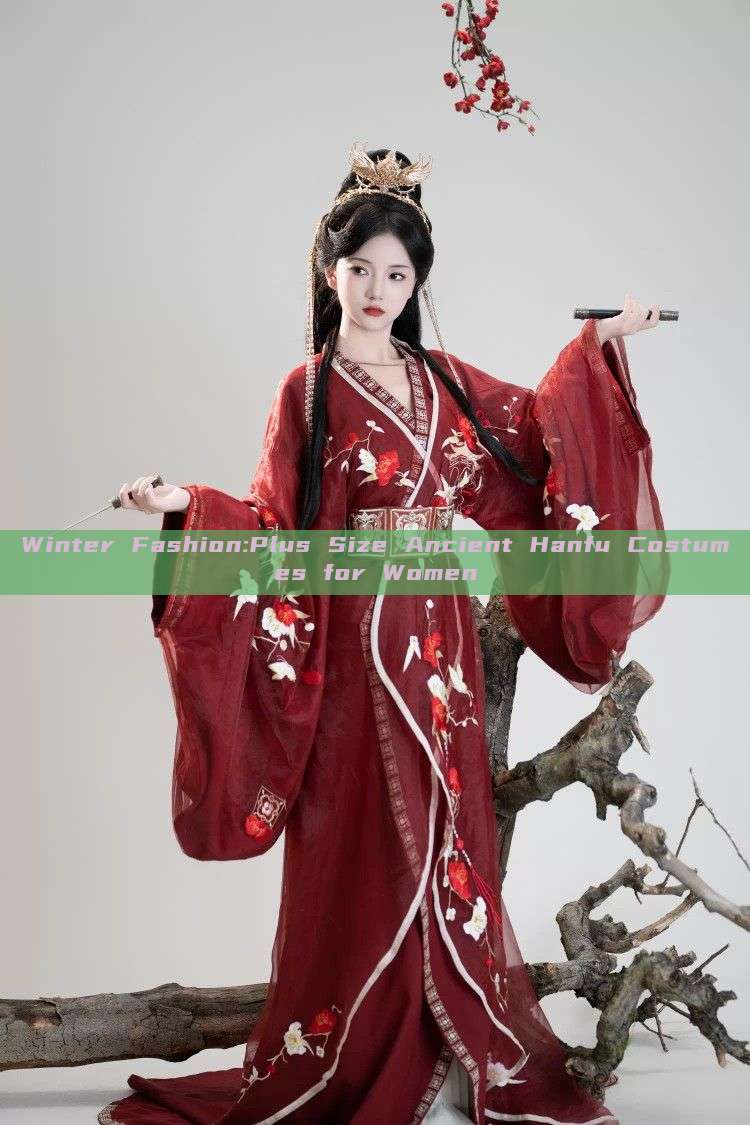 Winter Fashion:Plus Size Ancient Hanfu Costumes for Women Winter Fashion:Plus Size Ancient Hanfu Costumes for Women