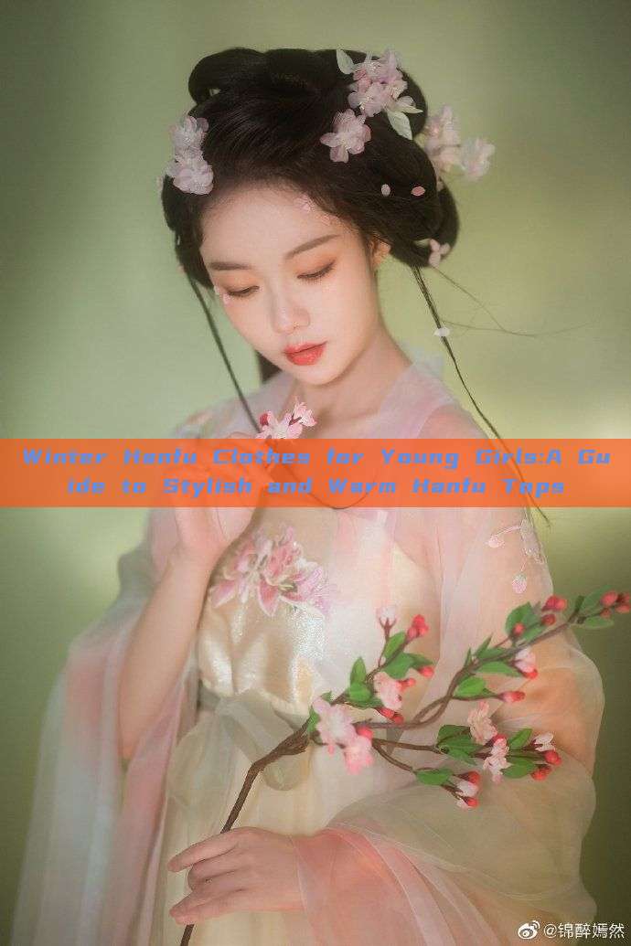 Winter Hanfu Clothes for Young Girls:A Guide to Stylish and Warm Hanfu Tops