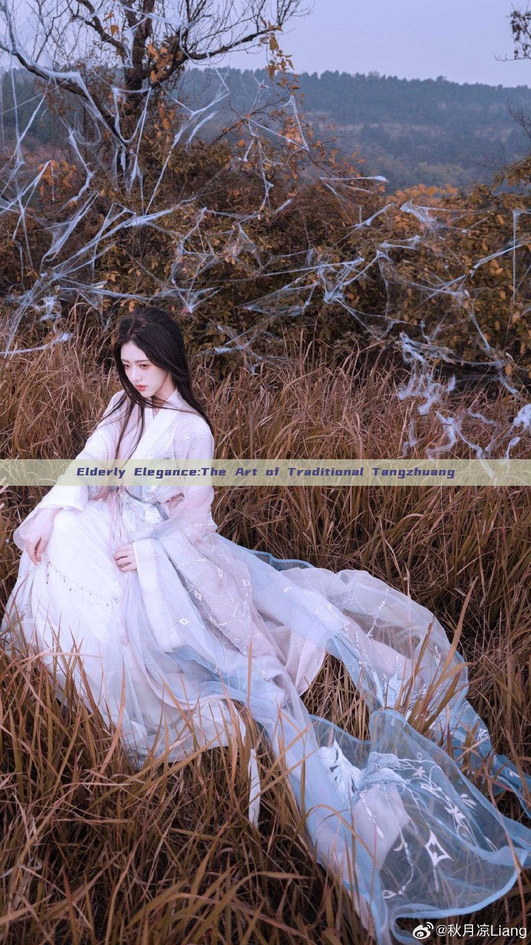 Elderly Elegance:The Art of Traditional Tangzhuang Elderly Elegance:The Art of Traditional Tangzhuang