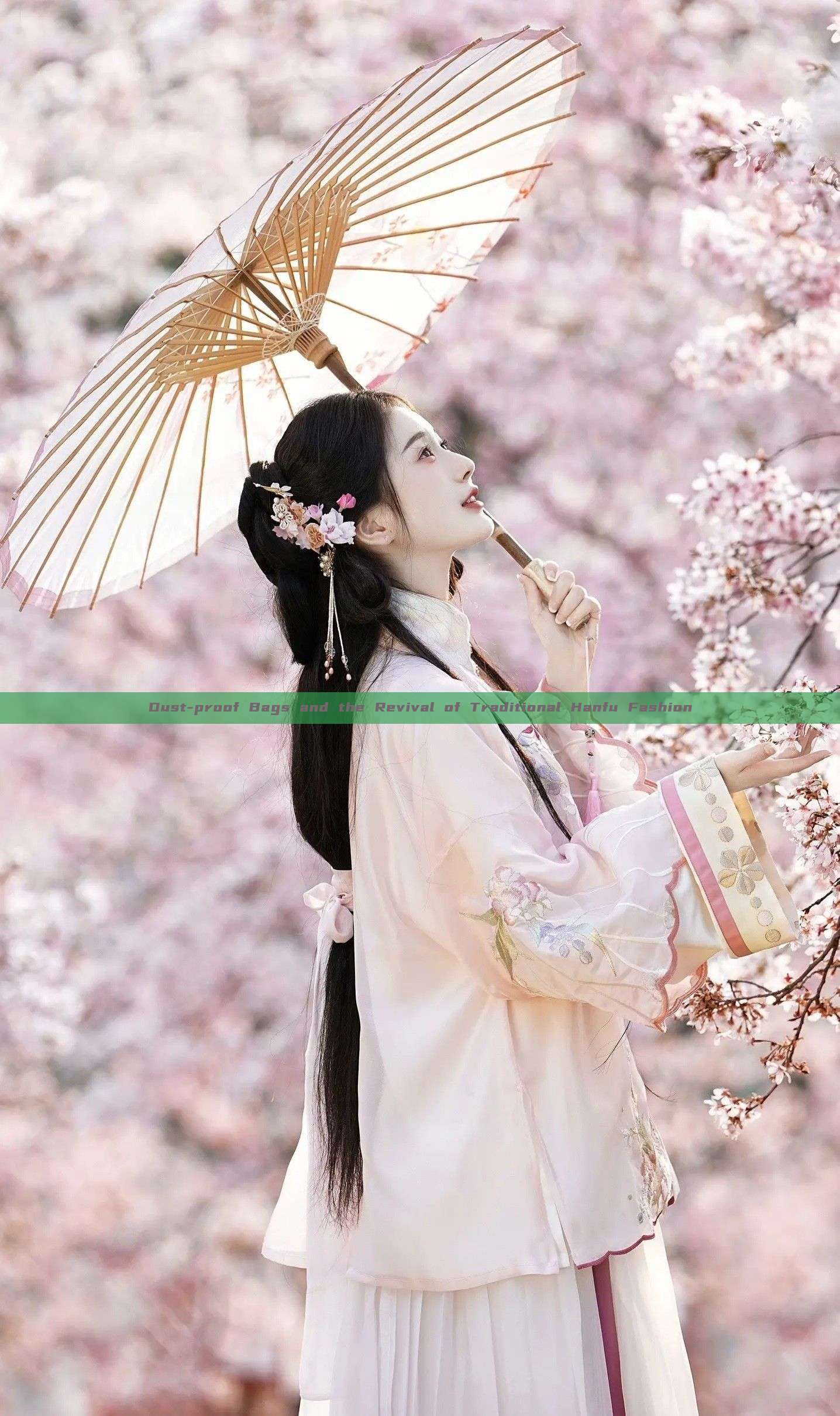 Dust-proof Bags and the Revival of Traditional Hanfu Fashion Dust-proof Bags and the Revival of Traditional Hanfu Fashion