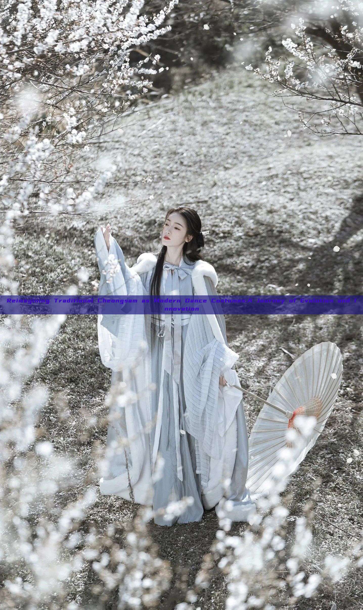 Reimagining Traditional Cheongsam as Modern Dance Costumes:A Journey of Evolution and Innovation Reimagining Traditional Cheongsam as Modern Dance Costumes:A Journey of Evolution and Innovation