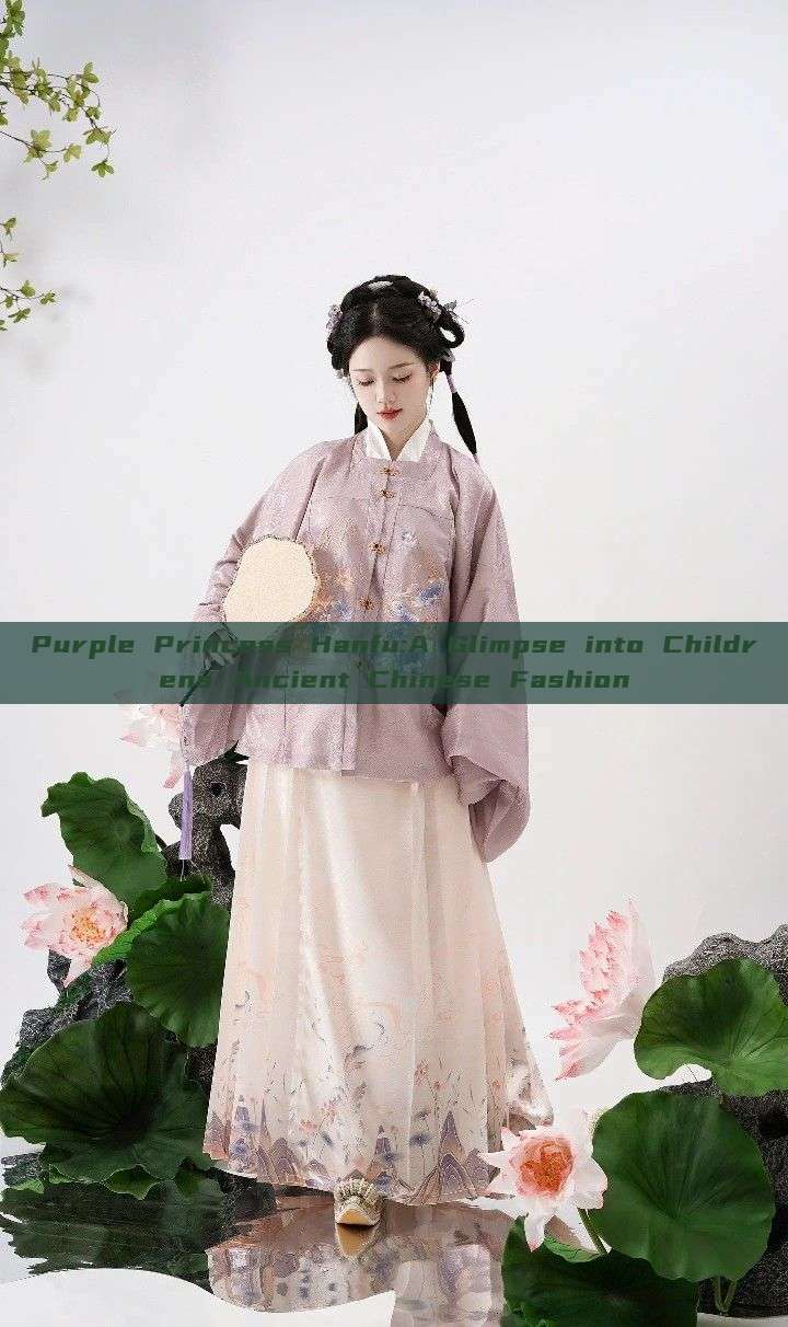 Purple Princess Hanfu:A Glimpse into Childrens Ancient Chinese Fashion Purple Princess Hanfu:A Glimpse into Childrens Ancient Chinese Fashion