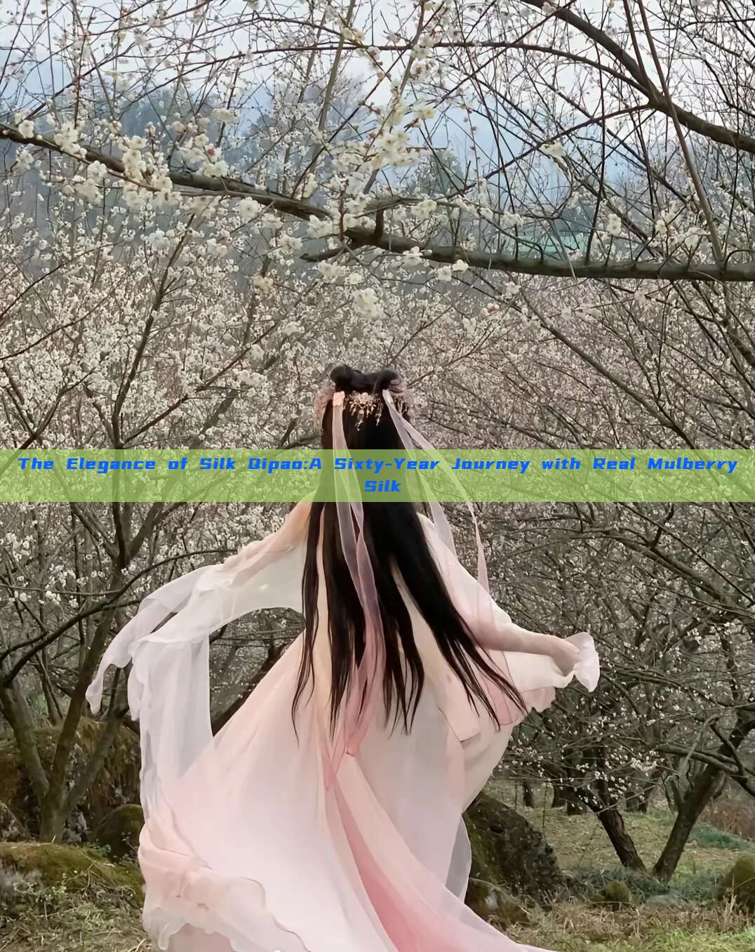 The Elegance of Silk Qipao:A Sixty-Year Journey with Real Mulberry Silk The Elegance of Silk Qipao:A Sixty-Year Journey with Real Mulberry Silk