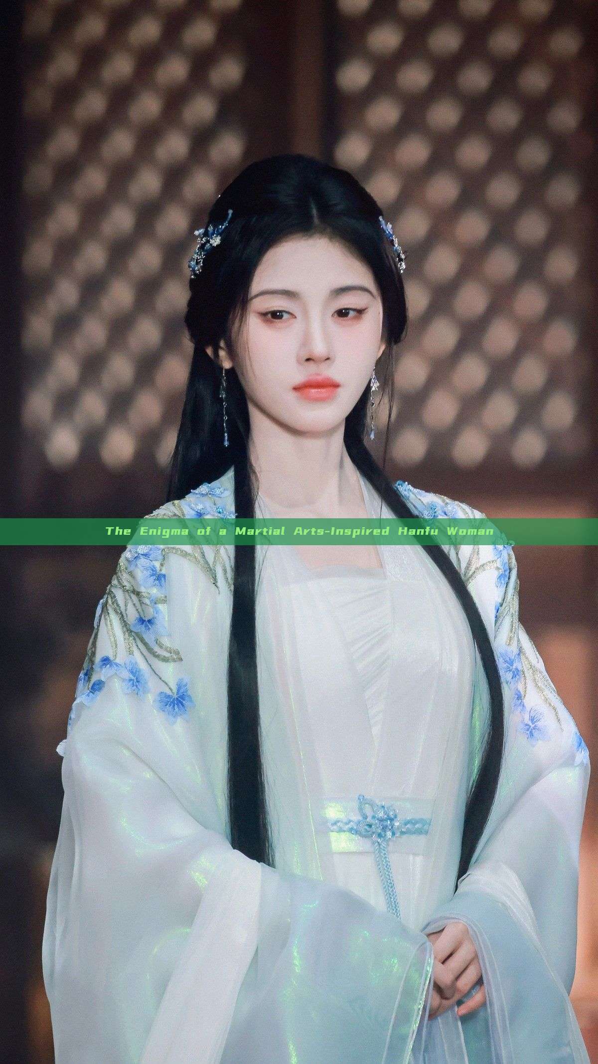 The Enigma of a Martial Arts-Inspired Hanfu Woman The Enigma of a Martial Arts-Inspired Hanfu Woman
