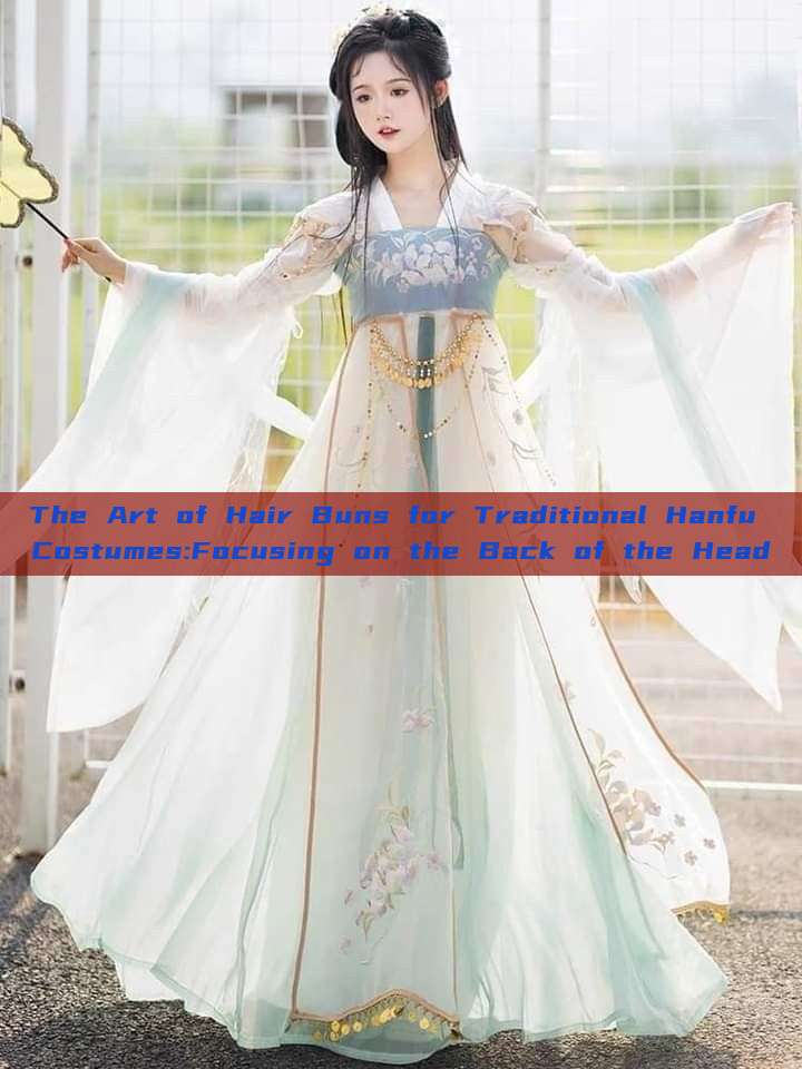 The Art of Hair Buns for Traditional Hanfu Costumes:Focusing on the Back of the Head The Art of Hair Buns for Traditional Hanfu Costumes:Focusing on the Back of the Head