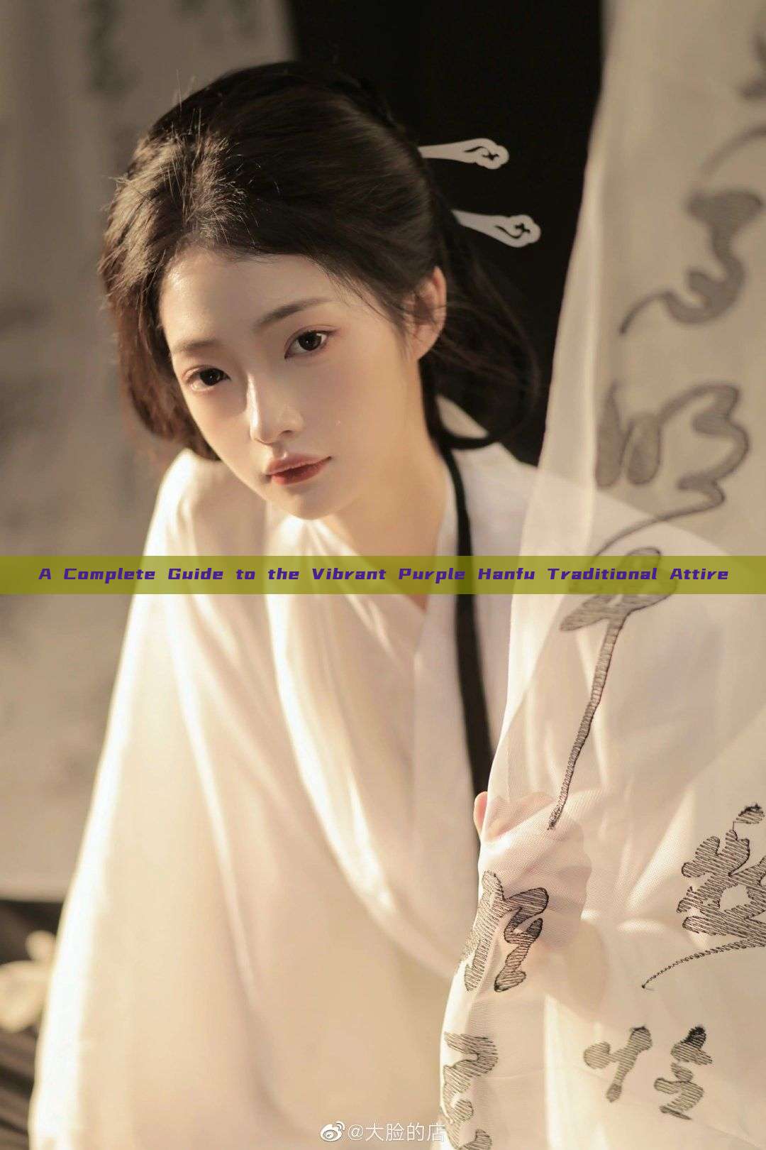 A Complete Guide to the Vibrant Purple Hanfu Traditional Attire A Complete Guide to the Vibrant Purple Hanfu Traditional Attire