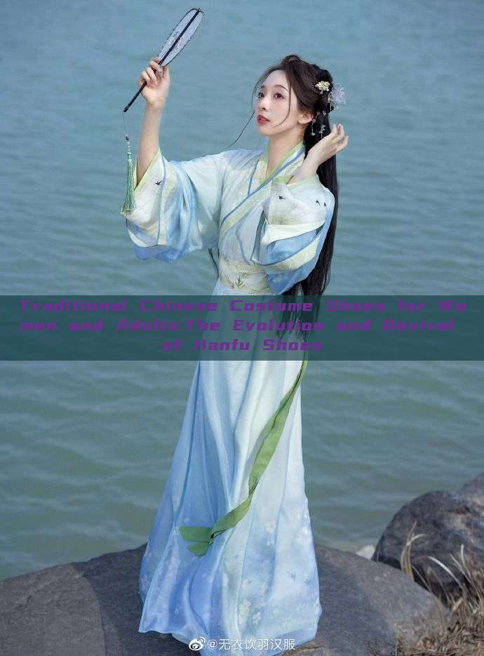 Traditional Chinese Costume Shoes for Women and Adults:The Evolution and Revival of Hanfu Shoes Traditional Chinese Costume Shoes for Women and Adults:The Evolution and Revival of Hanfu Shoes