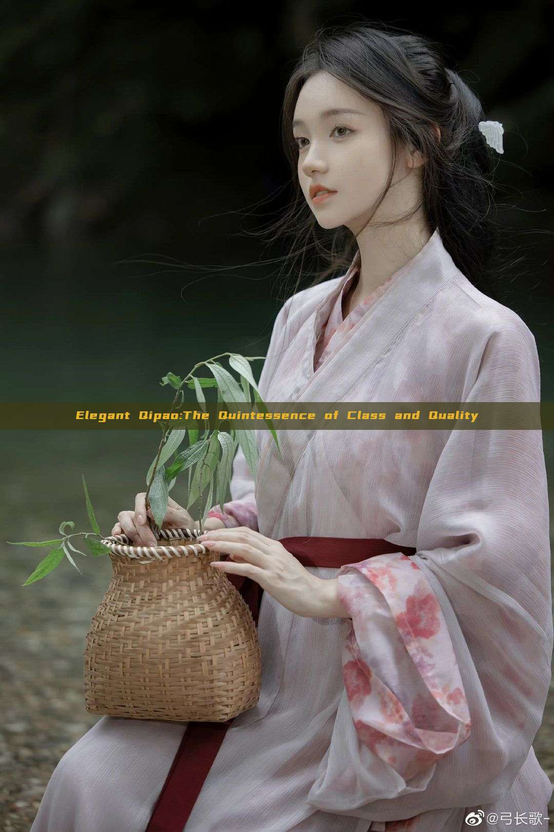 Elegant Qipao:The Quintessence of Class and Quality Elegant Qipao:The Quintessence of Class and Quality