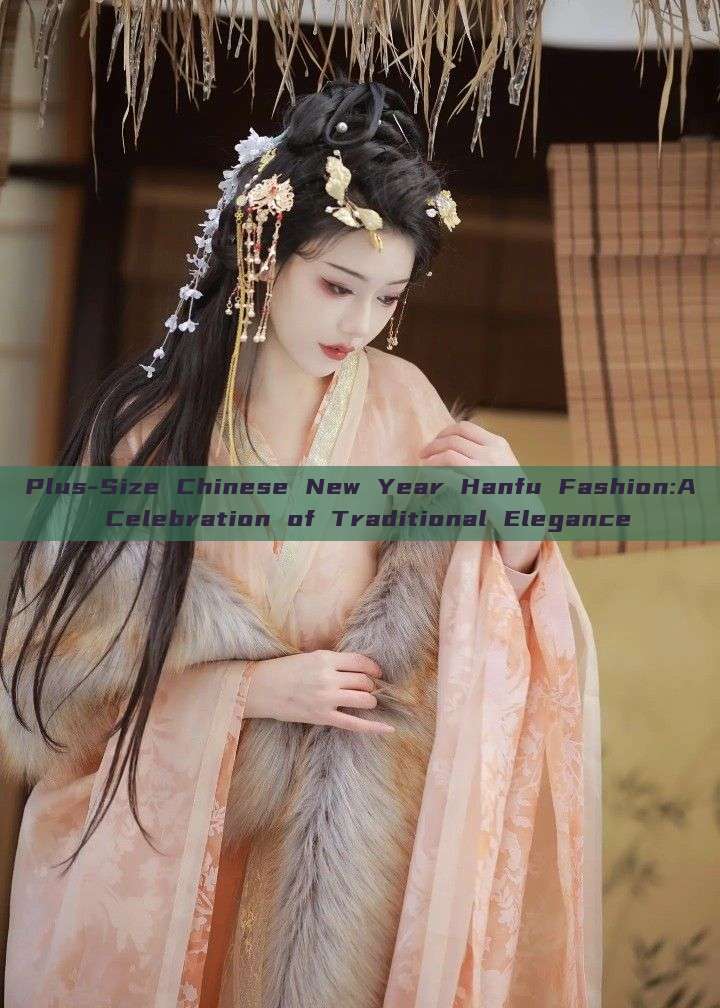 Plus-Size Chinese New Year Hanfu Fashion:A Celebration of Traditional Elegance Plus-Size Chinese New Year Hanfu Fashion:A Celebration of Traditional Elegance