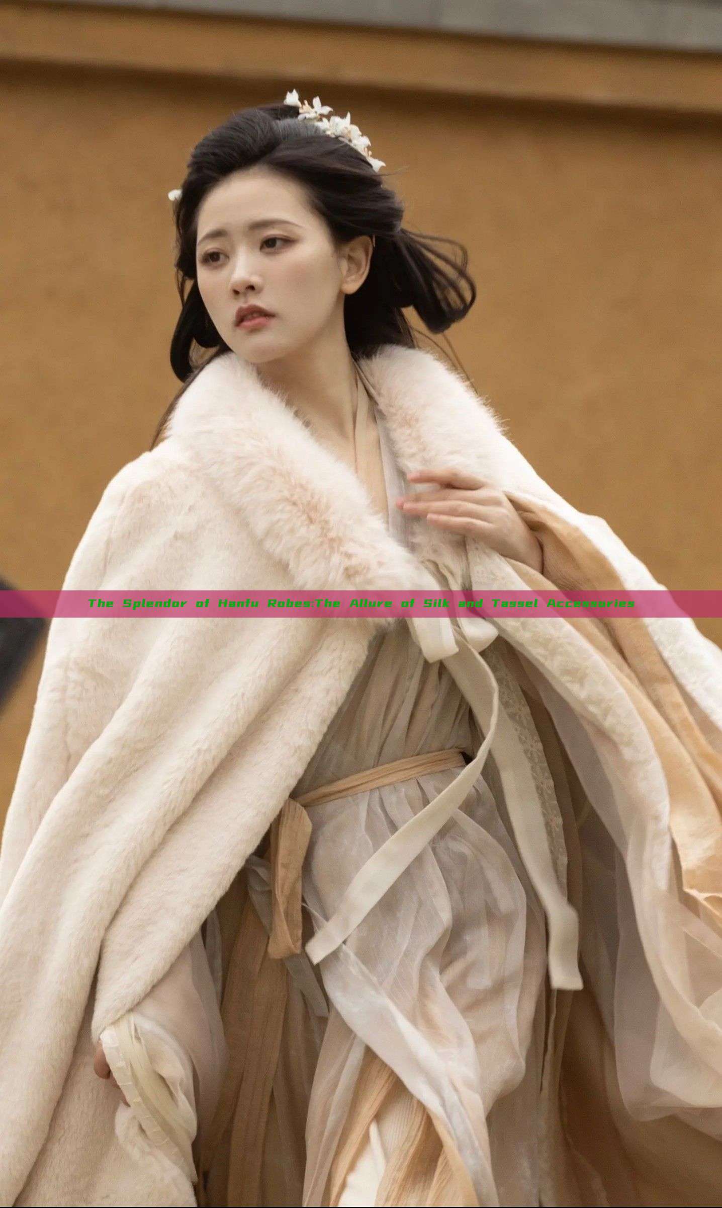The Splendor of Hanfu Robes:The Allure of Silk and Tassel Accessories The Splendor of Hanfu Robes:The Allure of Silk and Tassel Accessories