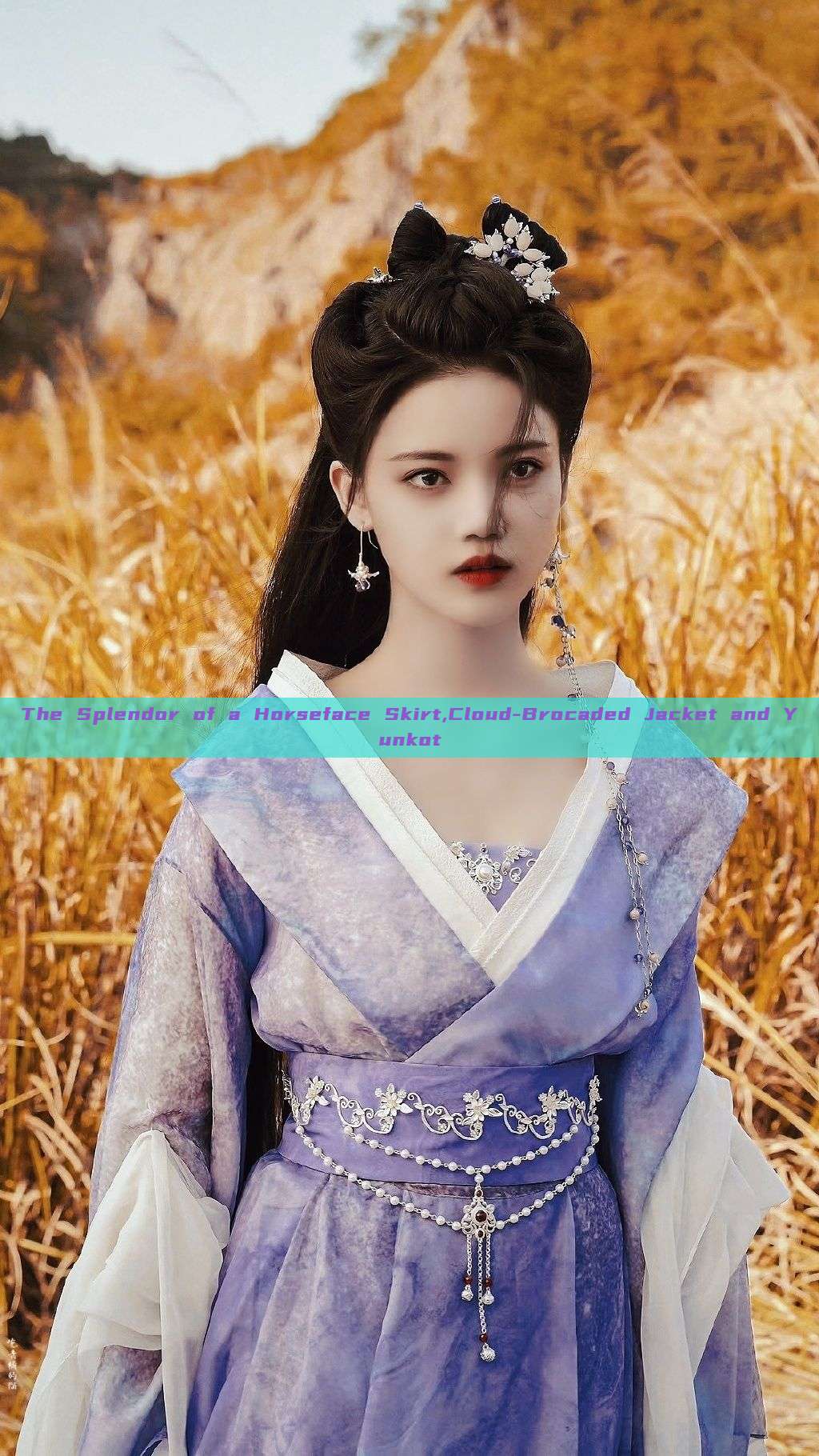 The Splendor of a Horseface Skirt,Cloud-Brocaded Jacket and Yunkot The Splendor of a Horseface Skirt,Cloud-Brocaded Jacket and Yunkot