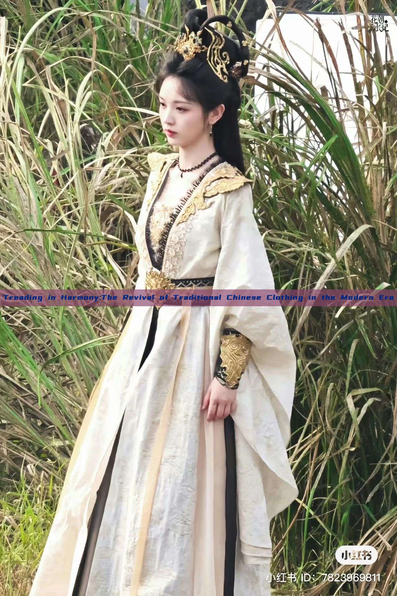 Treading in Harmony:The Revival of Traditional Chinese Clothing in the Modern Era Treading in Harmony:The Revival of Traditional Chinese Clothing in the Modern Era